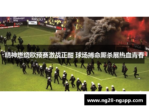 精神燃烧欧预赛激战正酣 球场搏命厮杀展热血青春
