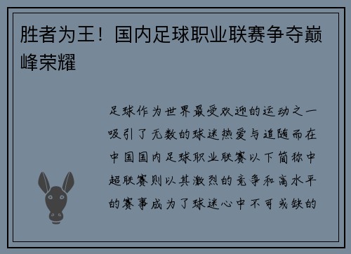 胜者为王！国内足球职业联赛争夺巅峰荣耀