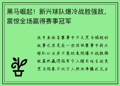 黑马崛起！新兴球队爆冷战胜强敌，震惊全场赢得赛事冠军